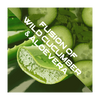 Spring Time Shower gel Spring Time Shower Gel - Fusion of Wild Cucumber & Aloevera