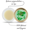 Mint Leaves Lip Balm Features of Mint Leaves Lip Balm