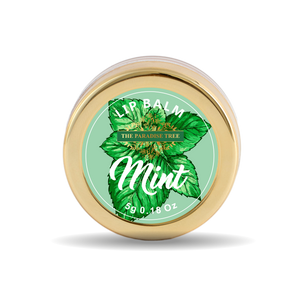 Mint Leaves Lip Balm by The Paradise Tree