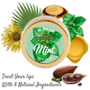 Ingredients of Mint Leaves Lip Balm