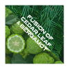 Fusion of cedar leaf & bergamot